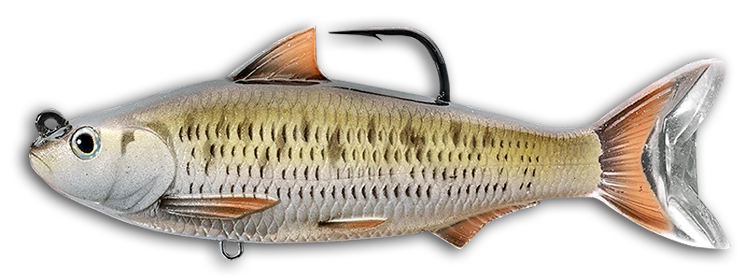 LIVETARGET Common Shiner Soft Body Swimbait Swimbaits 7 LIVETARGET Common Shiner Soft Body Swimbait Swimbaits
