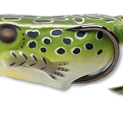 Topwater Baits LIVETARGET Popper Frog Hollow Body Topwater Frog