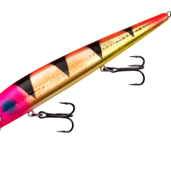 Smithwick Perfect 10 Rogue 5 1/2 Inch Deep Diving Suspending Jerkbait Baits & Lures 42 Smithwick Perfect 10 Rogue 5 1/2 Inch Deep Diving Suspending Jerkbait Baits & Lures