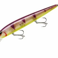Smithwick Top 20 Rogue 5 1/2 Inch Extra Deep Diving Trolling Minnow/Jerkbait Jerkbaits/Rip Baits, Twitchbaits, & Trolling Plugs
