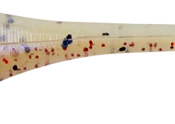 Bobby Garland Baby Shad 2 Inch Soft Plastic 18 Pack Baits & Lures