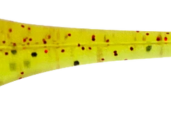 Bobby Garland Baby Shad 2 Inch Soft Plastic 18 Pack Baits & Lures