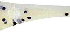 Bobby Garland Itty Bit Swim'R 1 1/4 Inch Soft Plastic Swimbait 25 Pack