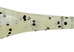 Baits & Lures Bobby Garland Mo'Glo Baby Shad Glow-In-The-Dark 2 Inch Soft Plastic 18 Pack