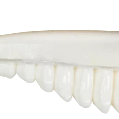 Soft Baits Bobby Garland Slab Hunt'R 2 1/4 Inch Swim Tail Soft Plastic 10 Pack