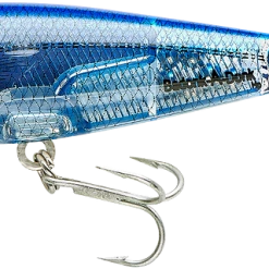 Baits & Lures Bomber Saltwater Grade Badonk-A-Donk HP Rattling Topwater Walker