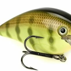 Strike King KVD Magnum Square Bill 8.0 Silent Crankbaits