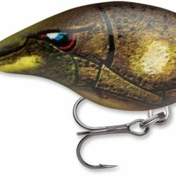 Baits & Lures Rapala DT Series Crankbait DT4
