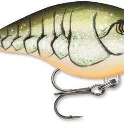 Baits & Lures Rapala DT Series Crankbait DT4