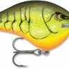 Baits & Lures Rapala DT Series Crankbait DT16