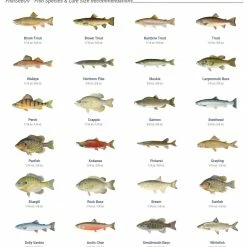 Gift Guide Panther Martin FishSeeUV Ultra Violet 3 Pack Spinner Kit