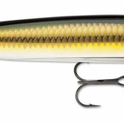 Baits & Lures Rapala Skitter V 4 Inch Topwater Walker