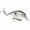 Strike King KVD Square Bill 1.0 Silent Crankbait Baits & Lures