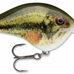 Baits & Lures Rapala DT Series Crankbait DT14