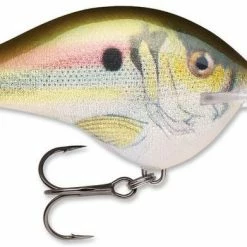 Baits & Lures Rapala DT Series Crankbait DT14
