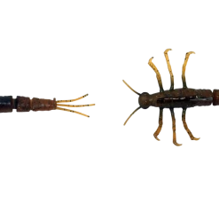 Savage Gear 3D TPE Mayfly Nymph Rigged Plastic Bait Soft Baits