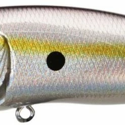 Baits & Lures Megabass Pop Max Topwater Popper