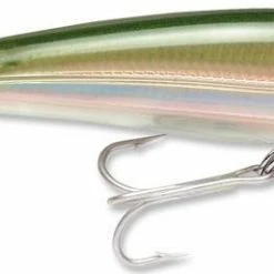 Baits & Lures Rapala SXR-10 X-Rap Saltwater 4 Inch Rip Bait