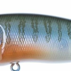 Baits & Lures Megabass Pop Max Topwater Popper