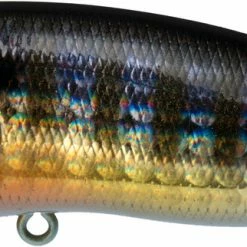 Baits & Lures Megabass Pop Max Topwater Popper