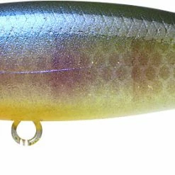Lucky Craft Pointer 65 Suspending Jerkbait