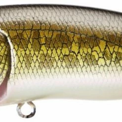 Baits & Lures Megabass Pop Max Topwater Popper