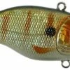 SPRO Aruku Shad Jr. Lipless Crankbait Baits & Lures 2 SPRO Aruku Shad Jr. Lipless Crankbait Baits & Lures