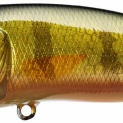 Baits & Lures Megabass Pop Max Topwater Popper