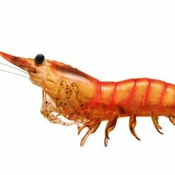 LIVETARGET Rigged Shrimp 75 1/4 Oz. 4 Pack