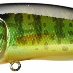 Baits & Lures Megabass Pop Max Topwater Popper
