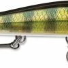 Baits & Lures Rapala RipStop 12 Jerkbait