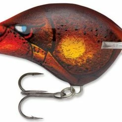 Baits & Lures Rapala DT Series Crankbait DT14