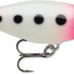 Baits & Lures Rapala SR09 Shad Rap 3 1/2 Inch Deep Diving Crankbait 36 Baits & Lures Rapala SR09 Shad Rap 3 1/2 Inch Deep Diving Crankbait