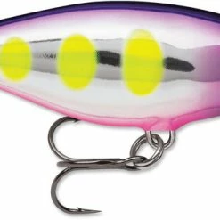 Baits & Lures Rapala SR09 Shad Rap 3 1/2 Inch Deep Diving Crankbait 54 Baits & Lures Rapala SR09 Shad Rap 3 1/2 Inch Deep Diving Crankbait