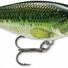 Baits & Lures Rapala SR05 Shad Rap 2 Inch Medium Diving Crankbait