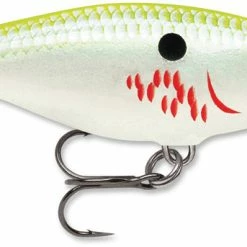 Baits & Lures Rapala SR05 Shad Rap 2 Inch Medium Diving Crankbait 50 Baits & Lures Rapala SR05 Shad Rap 2 Inch Medium Diving Crankbait