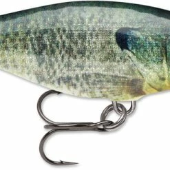 Baits & Lures Rapala SR05 Shad Rap 2 Inch Medium Diving Crankbait 73 Baits & Lures Rapala SR05 Shad Rap 2 Inch Medium Diving Crankbait