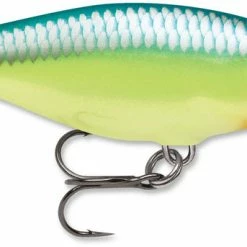 Crankbaits Rapala SR06 Shad Rap 2 1/2 Inch Medium Diving Crankbait