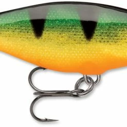 Rapala SR08 Shad Rap 3 1/8 Inch Deep Diving Crankbait Crankbaits