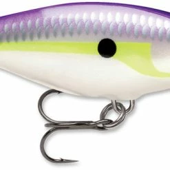 Baits & Lures Rapala SR05 Shad Rap 2 Inch Medium Diving Crankbait 84 Baits & Lures Rapala SR05 Shad Rap 2 Inch Medium Diving Crankbait