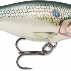 Baits & Lures Rapala SR05 Shad Rap 2 Inch Medium Diving Crankbait 86 Baits & Lures Rapala SR05 Shad Rap 2 Inch Medium Diving Crankbait