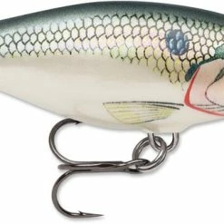 Crankbaits Rapala SR06 Shad Rap 2 1/2 Inch Medium Diving Crankbait