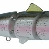 Swimbaits SPRO BBZ-1 Swimbait 6 Inch Floating