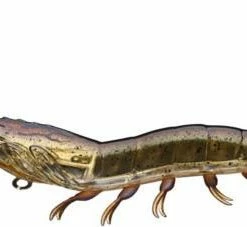 LIVETARGET Hybrid Shrimp 4 Inch Shrimp Imitator Soft Baits 20 LIVETARGET Hybrid Shrimp 4 Inch Shrimp Imitator Soft Baits