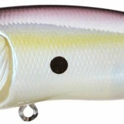 Baits & Lures Megabass Pop Max Topwater Popper
