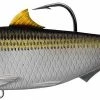 LIVETARGET Sardine Swimbait 4 1/2 Inch