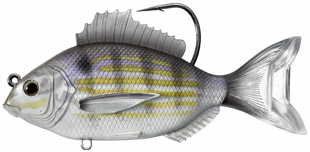 LIVETARGET Pinfish Swimbait 3 1/2 Inch 3 LIVETARGET Pinfish Swimbait 3 1/2 Inch