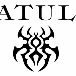 Daiwa Tatula 100 TWS Baitcasting Reels