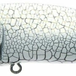 Baits & Lures Megabass Pop Max Topwater Popper