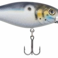Berkley Bad Shad Medium Diving Crankbait Baits & Lures